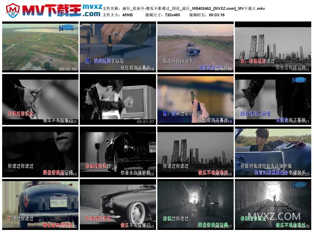 威仔_夏凌兮-傻瓜不准难过_国语_流行_MB402462